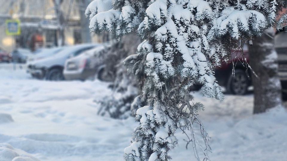 ����������� ���������: ��������� ���������� � ������ � ����������� �������