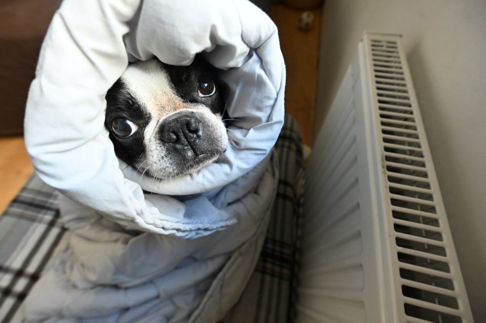 �������� ���� � ������� ������, ���������� ������ ������� ��� ����� � ����, ����� ��������� ������-������ ��� ������������ �������������� ����������� �������