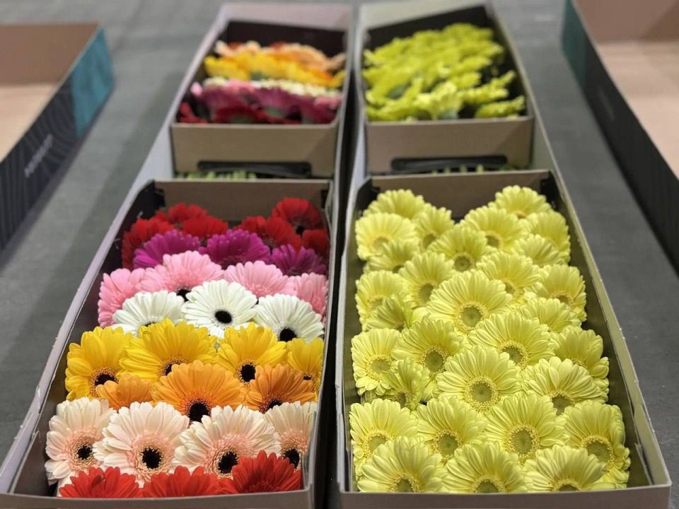 �������, �������. � 8 ����� � ������ �������� 8 ��� ������