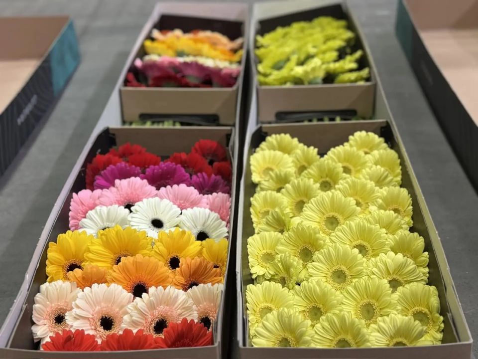 �������� ������ ��������� � ��������� � 8 �����