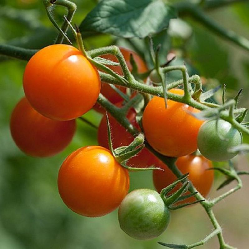 ����� �������� ����� ������ ����� ������� ��� ��������� ������