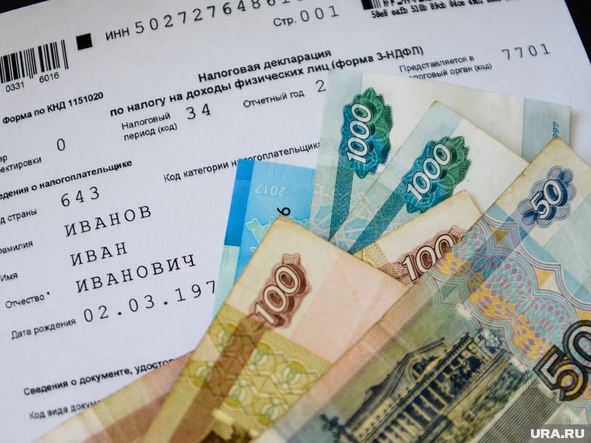 ЛДПР предлагает отсрочку для внедрения новых налогов в России