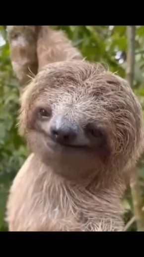 #СДобрымутром31. С Международным днем неторопливости Найдите в рабочей суете время, чтоб насладиться моментом и поймать безмятежный вайб, как у этого довольного парня