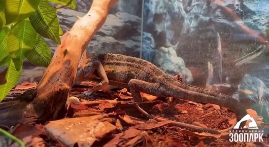 ��� �������� ���� �� ������������ �������� ������� ���� ��������������