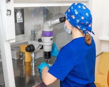 ������� ��� ������� � ������ �������� � ��������������� � ����������