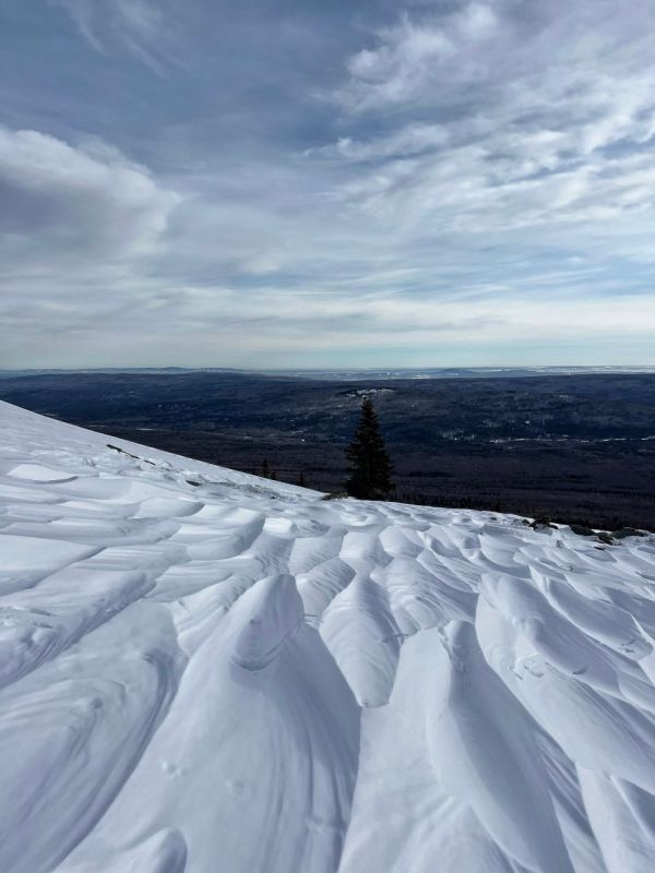 ���� ��� ������ ������� � ��������� ���� ����������