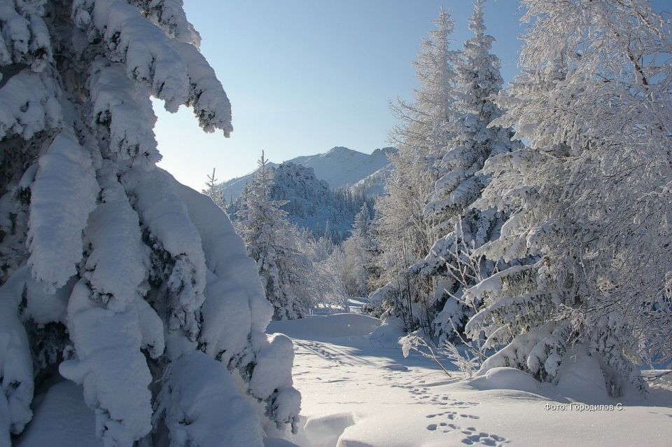 �� ��������� ������� ��������� � ����� � ��������