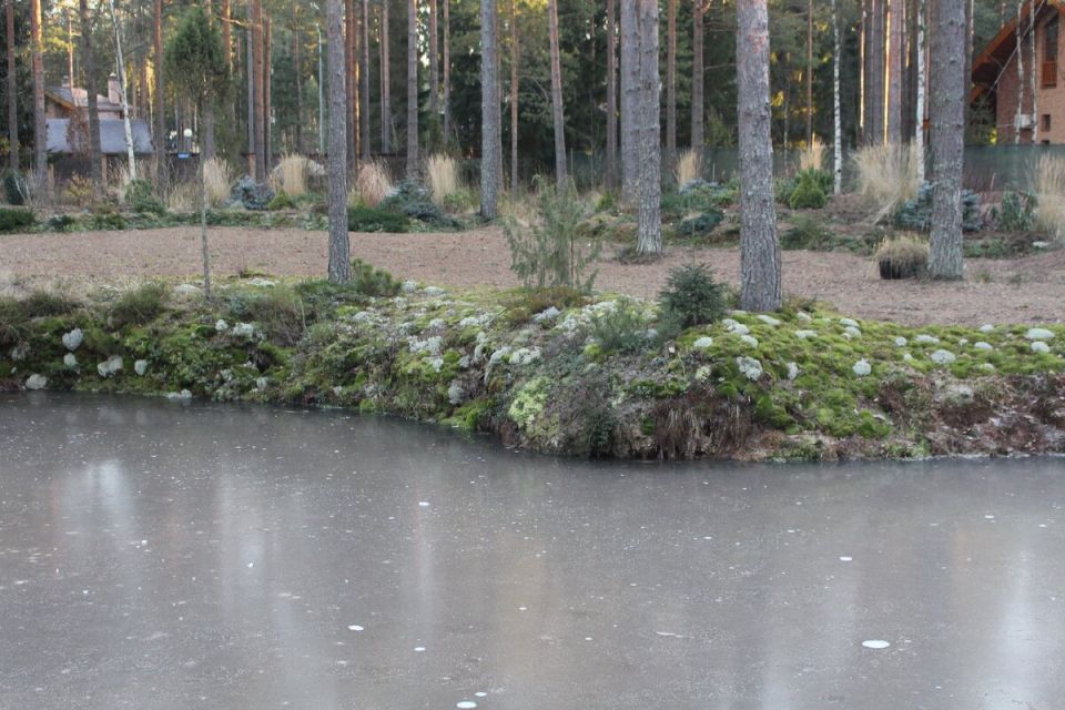 ��������� ������ ������� ����: ��� ������� ������ ���