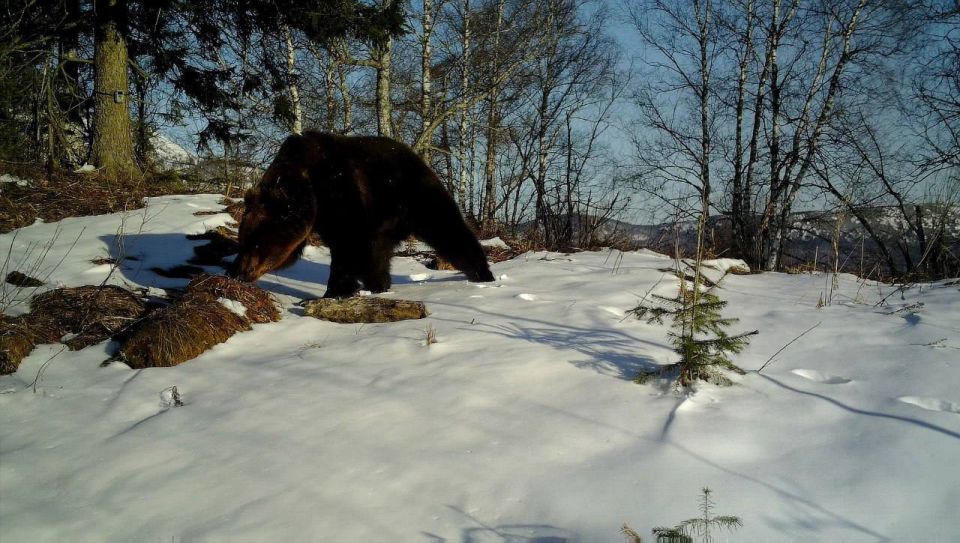 � �������� ��������� �������� �������