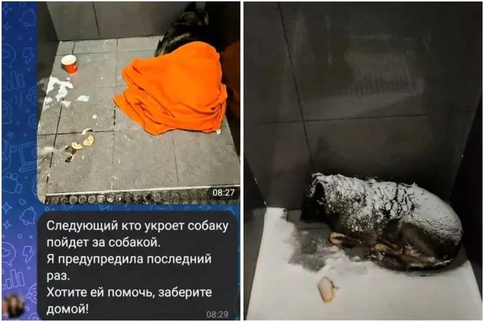 Сергей Колясников: Друзья, нужно ваше мнение по ситуации: