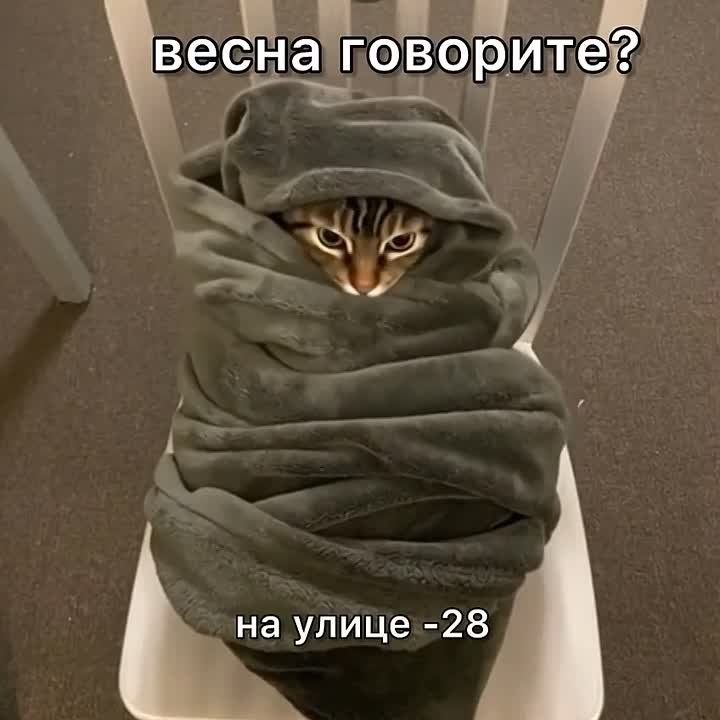 ����� �������������? � ������ ���� ����� ��� ��� ����������� �� -28