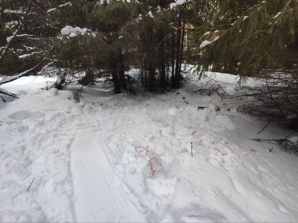 � �������������� ������ ���������� ���������� ���������� ������