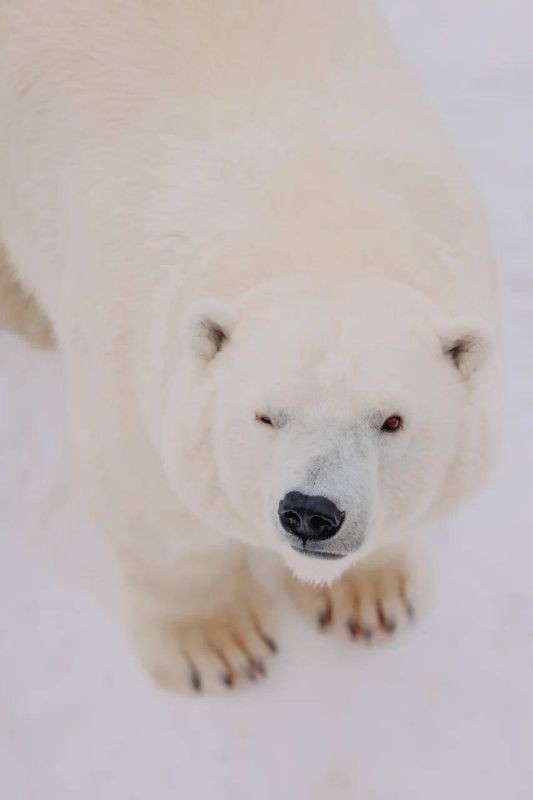 ��� ����-���� � ����� ������������ � ������