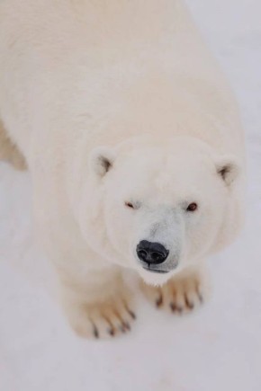 ��� ����-���� � ����� ������������ � ������