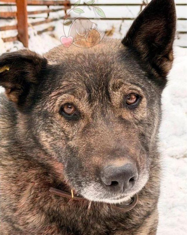 ������ ���� ����� ������� ����� ������ ����, ������� ����� ������ �� ����������