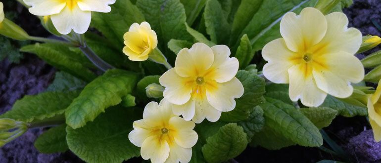 �������� � ���� � ������: ��� ����� ������