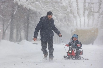 �������� ������� ��� ���������� ���������: ��� ������� ����������� ������� ���������� ����� ���� ������������