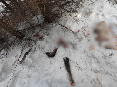 � �������������� ������ ����������� ��������� ������������� � ���������� ����� �� ����