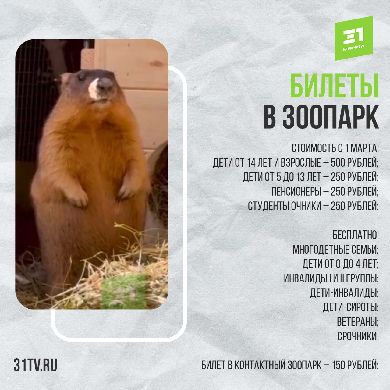 С 1 марта в зоопарке подорожают билеты