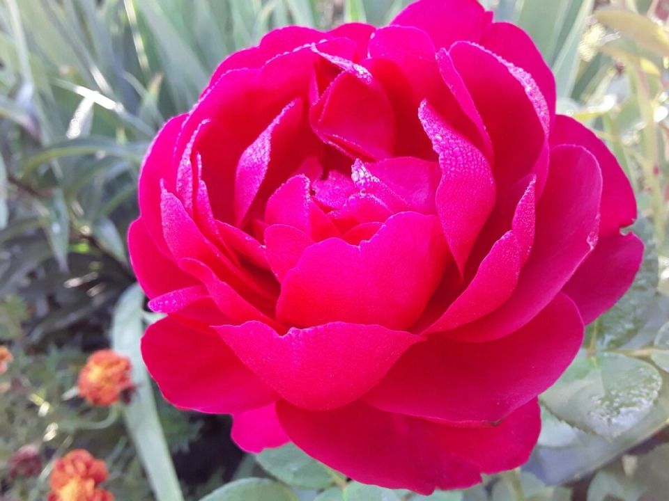 ��� ������������ ������� ����� ��� ����� ������ ���������