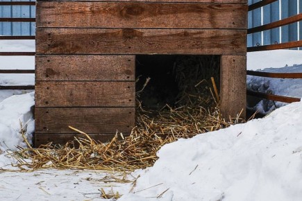 ������ �������� �� ���������� ������� �������� � ������ ��������