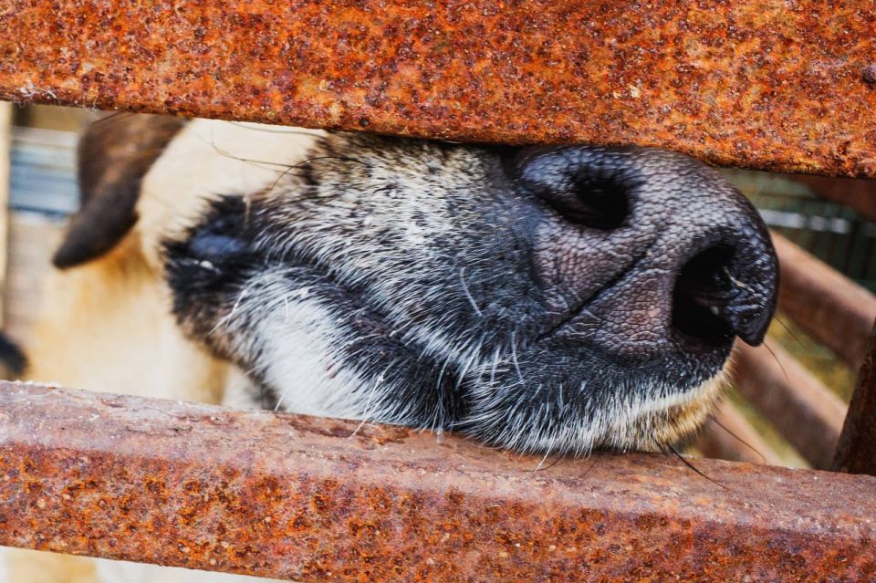 ���������� ������� ��� �������� � ������: ��� ������ ������ �� ������������ �����