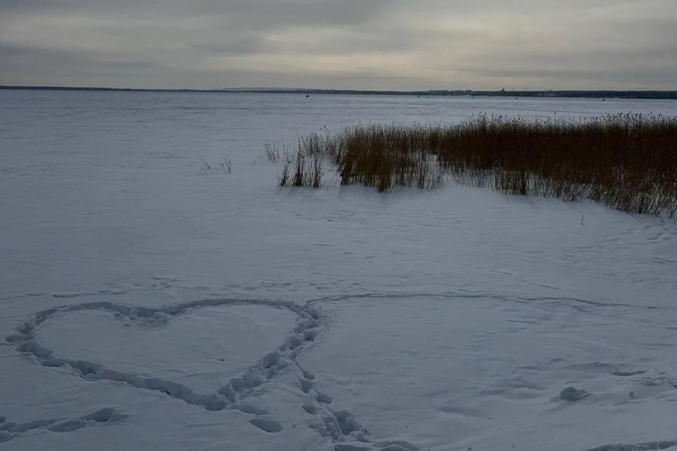 � ���������� ������� ������� ����� �� ���� ����� �������