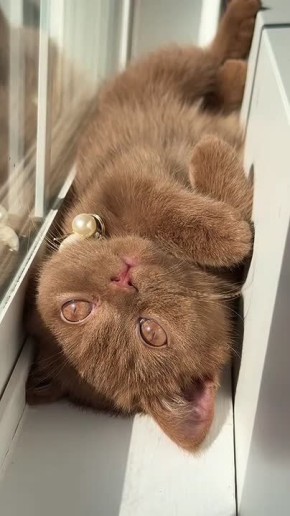 #������������31. ������� ���������� ��������� ����, ��� ����� ���� �������� � ������ �������� �� ���� ���� ���� ����� � ��� �������������� �������