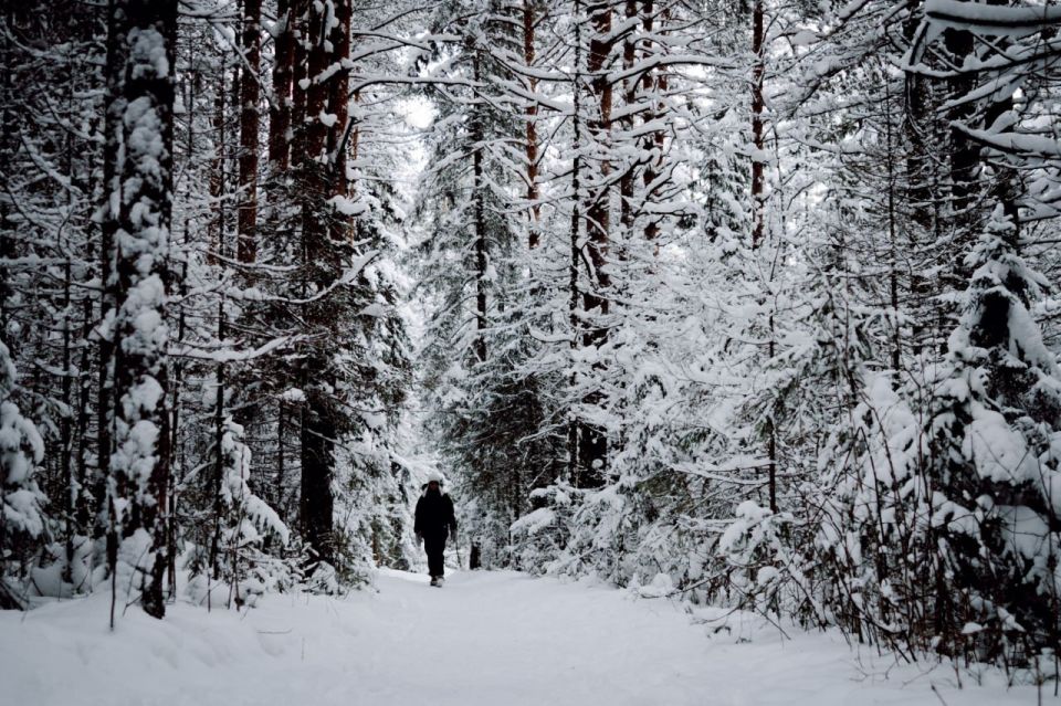 ���� ����� ������� � ����: � ��������� ���� ������� ������������ ���� ������ � ������������� �����