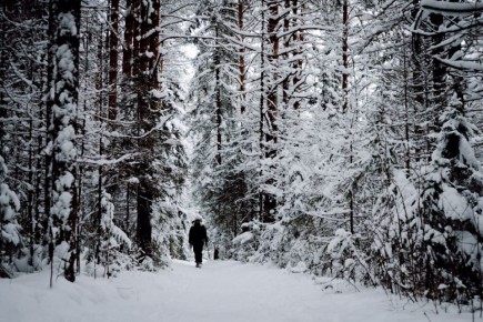 Зима сдаст позиции с боем: в последний день февраля южноуральцев ждут морозы и пронизывающий ветер