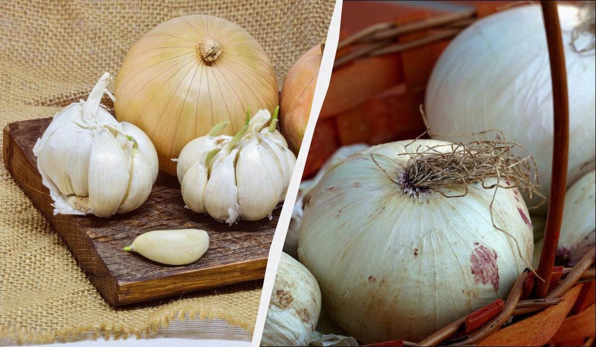 Как правильно хранить лук и чеснок, чтобы они не портились