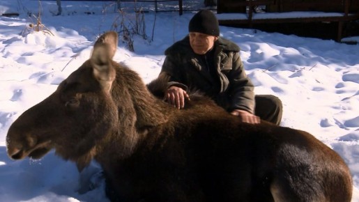 1234 ��������� �������� � ����������� ������� ���������, ��� ������ ������ ��� �����