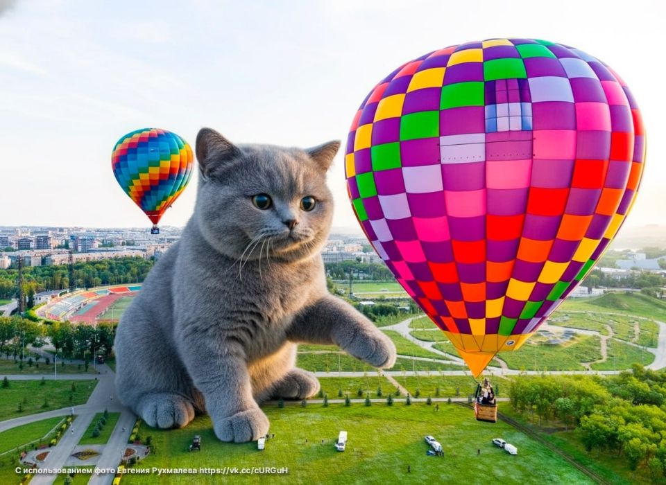 ���������� ������ ����� ����������� �� ����� ������� ����������� �������