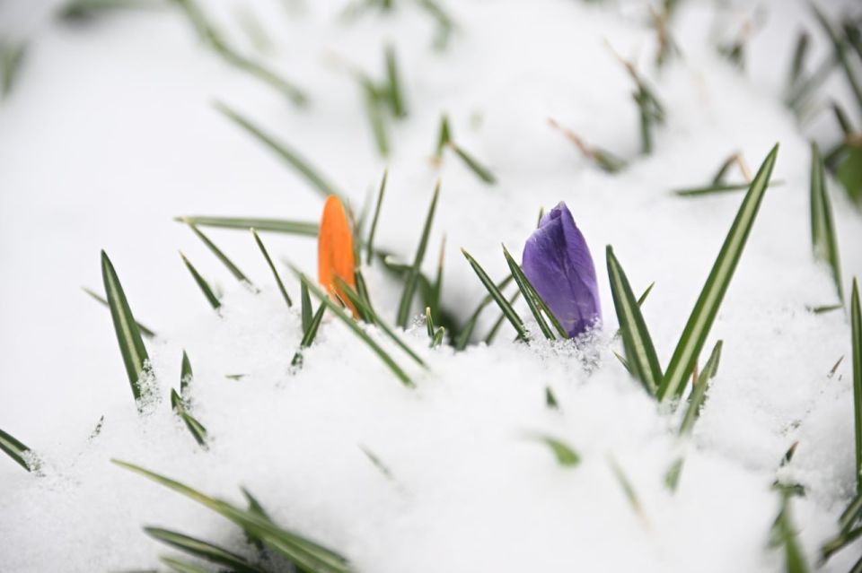 ����� �������� � ���������� �������: � ���������� �������� ����� �������� ����������� ����� �� -26, � �� ������� �������� � �� -28