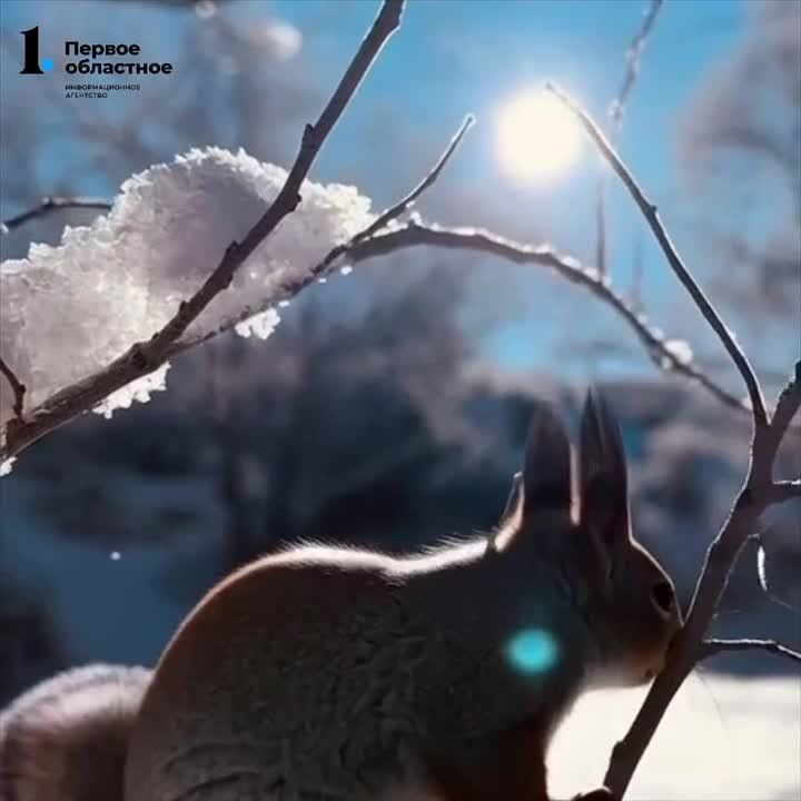 ����������� �������� ��� ��������� -23��