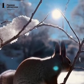 Воскресенье встретит нас морозными -23°С