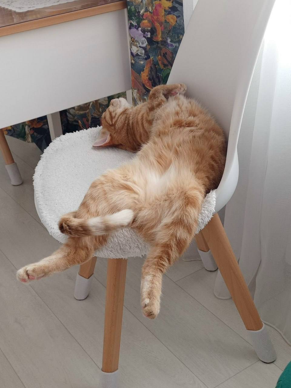 Наши подписчики во «Вконтакте» отправили нам стоооооолько котиков Наши подписчики во «Вконтакте» отправили нам стоооооолько котиков