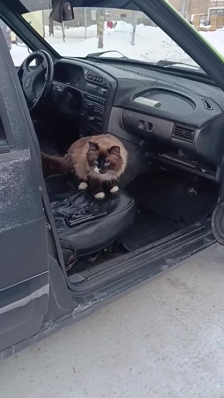 ����� ���� ������� ����������