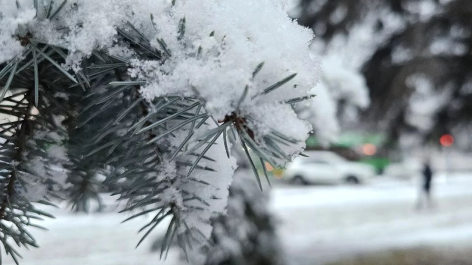 Синоптики прогнозируют снег и до 0°C в Челябинской области