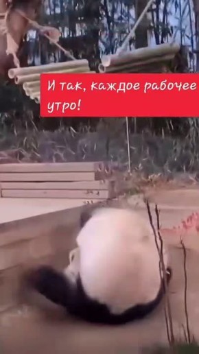 #������������31. �� ��� ��������: �������, ����������, �� ��� � ����������� ��������� ������ ����-����, ������ ������ ��� �� �������