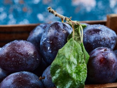 ��� ��������� ��������� �� �������� ������� ����� ����� ������