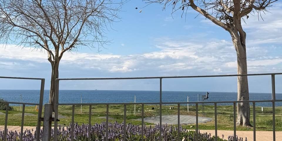 Бывшая челябинка рассказала о жизни в Израиле во время атак