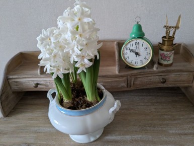 �������� �����: ��� �������� ��������� ��������� ���� ����