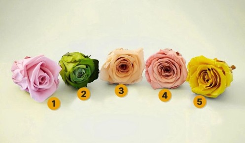 ����� ������ ������� ��� ���������� �� ��������? ������� ����� ��������������� ����