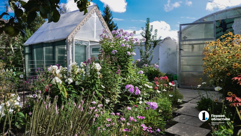 � ���������� ����� ����� ����� �� ������� ������