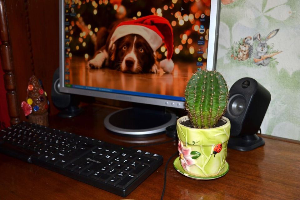 ����������� ��������� ��������: ��� ��� �������� ���� �����