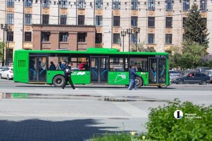 В 2026 году традиционные садовые маршруты запустят в Челябинской области с мая