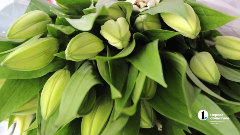 �������� �� 200 ������ �� �����