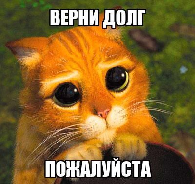 Челябинцы рассказали, кому готовы дать деньги в долг