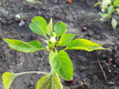 ������� �������� ������ � ����������� �����: ��� ����� �����